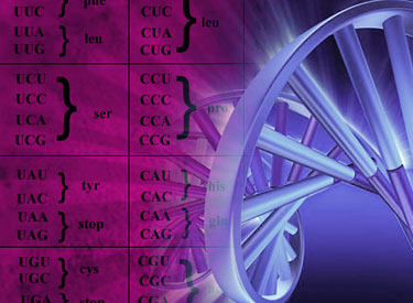 genetic2.jpg