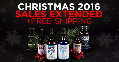 Christmas 2016 Sales Extended
