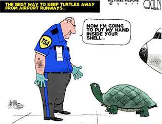 shell.jpg